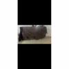 couverture extérieur 300gr*Fouganza Online