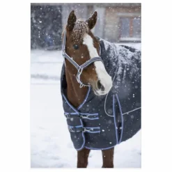 Equitheme Couvertures>couverture extérieure neuve 300grs taille 155cm