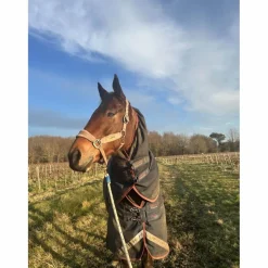 Premier Equine Couvertures><noscript><img width=