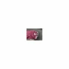 Couvre rein Alexandra Sportwear*Alexandra Ledermann Clearance