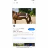 Equitheme Couvres-Reins>couvre rein Equi thème csi5*