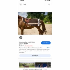 Equitheme Couvres-Reins>couvre rein Equi thème csi5*