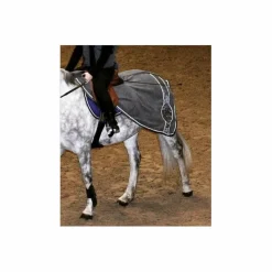 Felix Bhuler Couvres-Reins><noscript><img width=