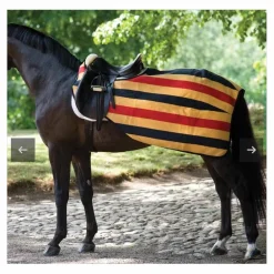 Couvre rein*Horseware Best