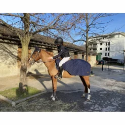 Kentucky Couvres-Reins><noscript><img width=