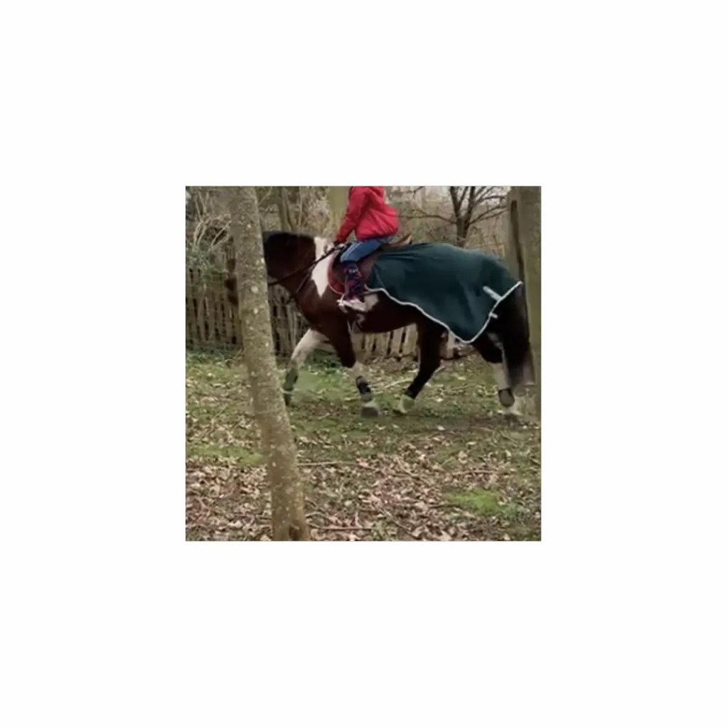 Felix Bhuler Couvres-Reins>Couvre reins vert forêt Félix Buhler