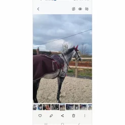 Performance Couvres-Reins><noscript><img width=