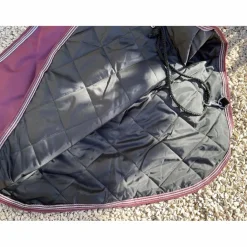 Tread stone Couvres-Reins><noscript><img width=