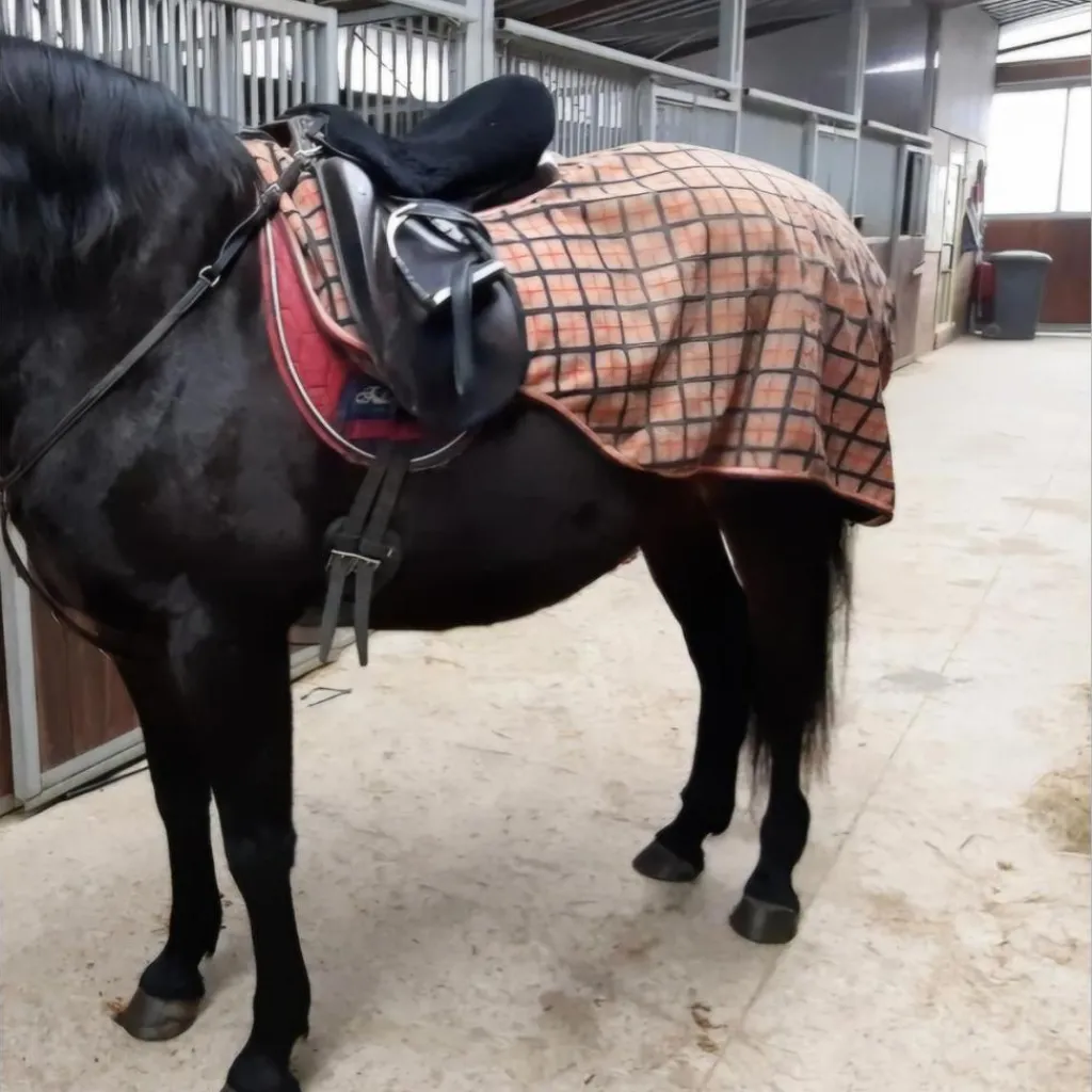 - Marque inconnue - Couvres-Reins>Couvre-Reins Qualitatif et imperméable, 150 cm