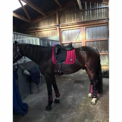Custom Saddlery Selles De Dressage><noscript><img width=