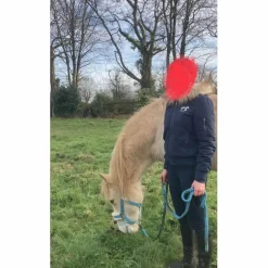Penelope Leprevost Manteaux, Vestes Et Doudounes>Doudoune Pénélope