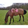Darroze Selles De Dressage>Dressage 17''
