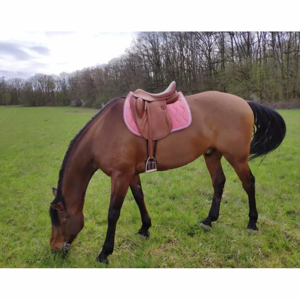 Darroze Selles De Dressage>Dressage 17''