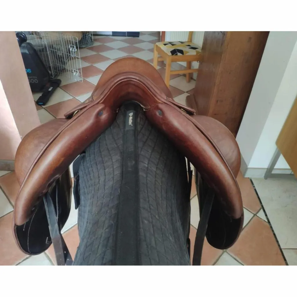 Darroze Selles De Dressage>Dressage 17''