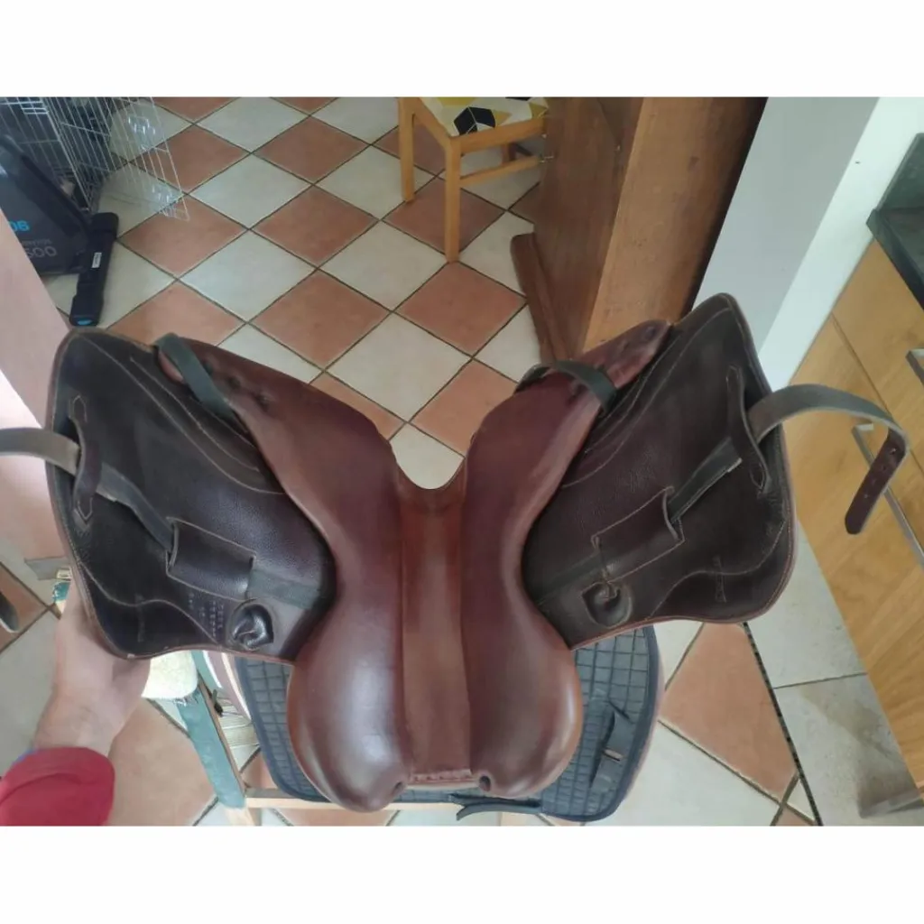 Darroze Selles De Dressage>Dressage 17''