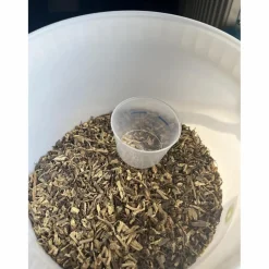 Echinacée*- Marque inconnue - Discount