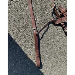 Martingales>Enrenement Howlet et martingale