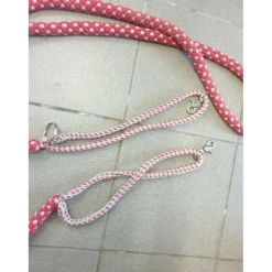 Enrênement taille cheval*- Marque inconnue - Sale