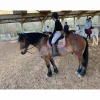 Ensemble beige*Felix Bhuler Sale