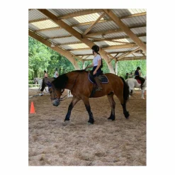 Lamicell Ensemble Tapis + Bonnet><noscript><img width=
