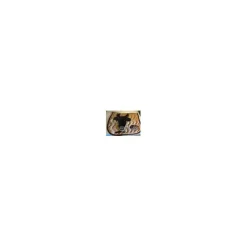 Penelope Leprevost Ensemble Tapis + Bonnet>Ensemble Bonnet et tapis JUMP'in beige et marron