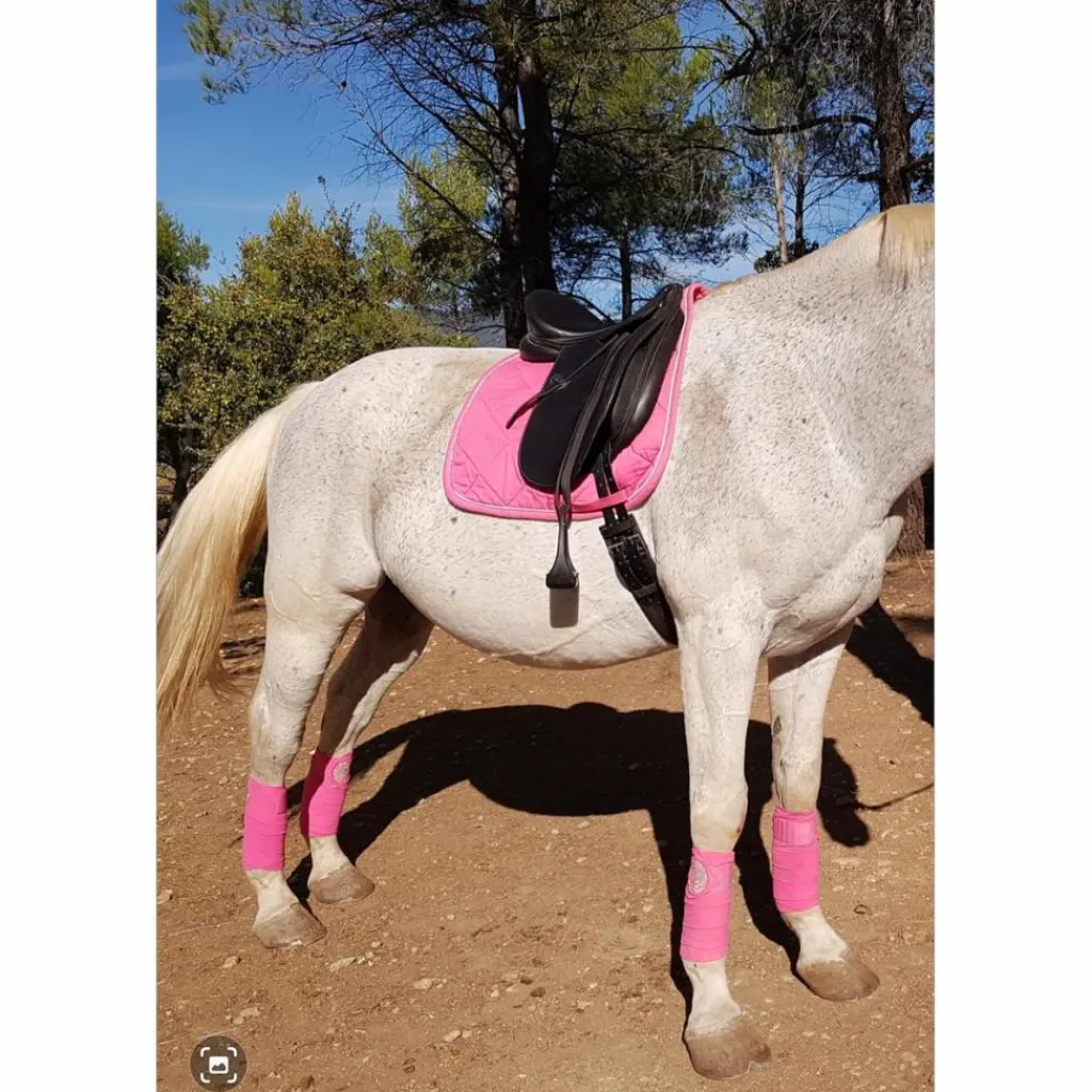 HV Polo Ensemble Tapis + Bonnet>Ensemble dressage rose tapis-bonnet-bandes