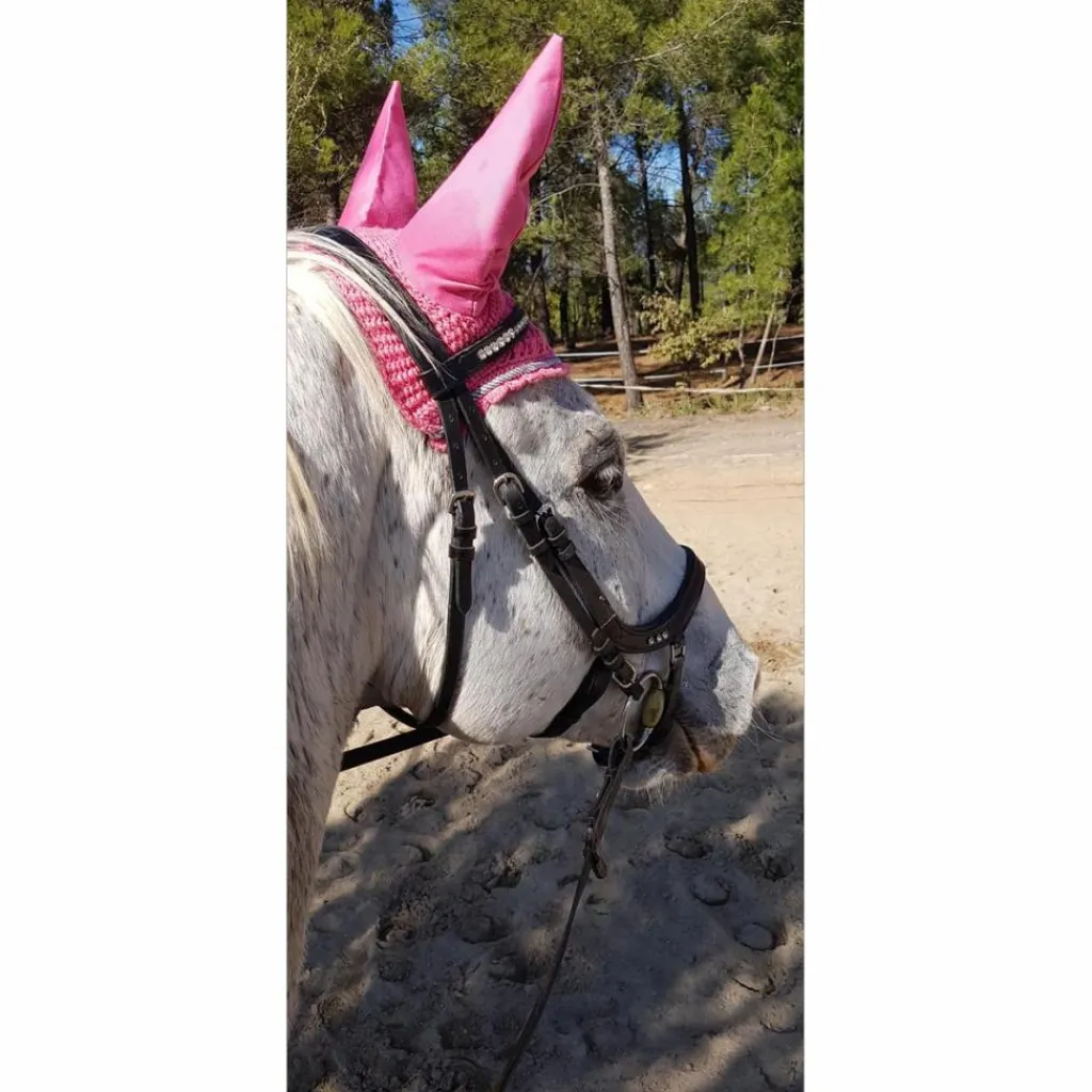 HV Polo Ensemble Tapis + Bonnet>Ensemble dressage rose tapis-bonnet-bandes