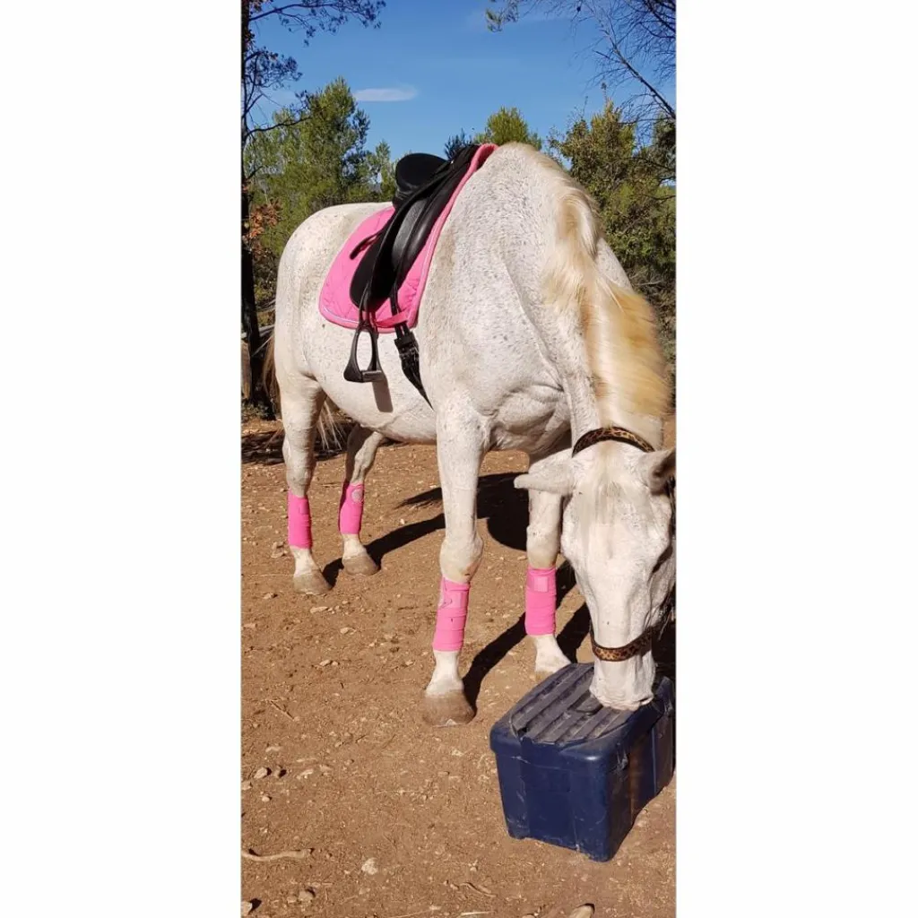 HV Polo Ensemble Tapis + Bonnet>Ensemble dressage rose tapis-bonnet-bandes