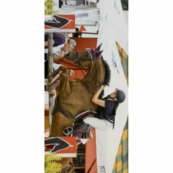 Ensemble*Equestrian Stockholm New