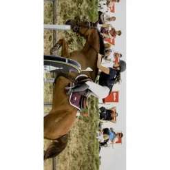 Ensemble*Equestrian Stockholm New