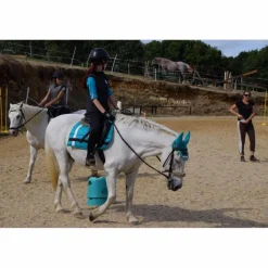 Equitheme Ensemble Tapis + Bonnet>Ensemble Equithème