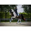 Ensemble dressage Morning sky*Equito Outlet