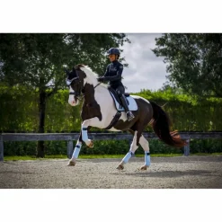 Ensemble dressage Morning sky*Equito Outlet