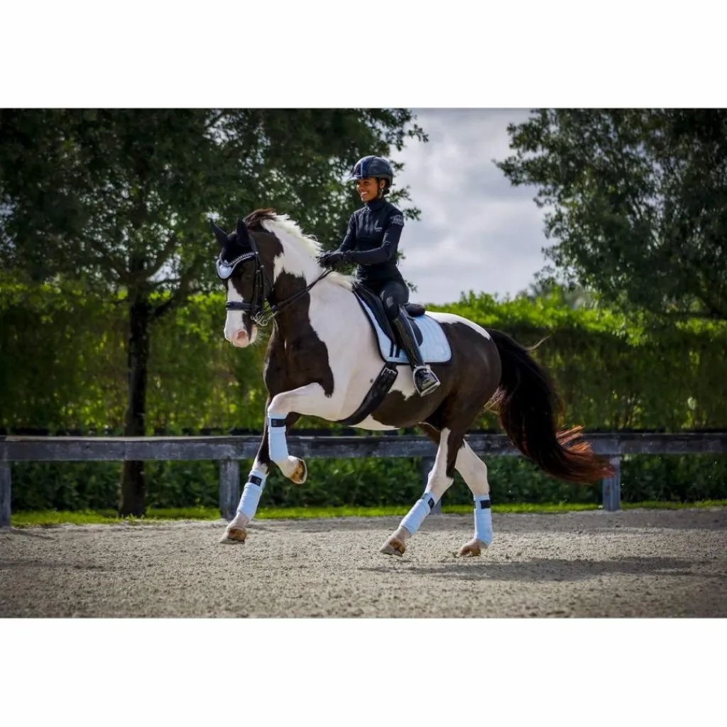 Ensemble dressage Morning sky*Equito Outlet