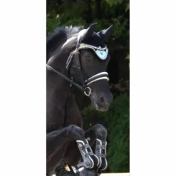 Ensemble dressage Morning sky*Equito Outlet