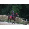Ensemble Felix Buhler*Felix Bhuler Sale