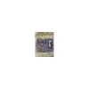 ensemble gris et rose (tapis + bonnet + guètres)*Time Rider Online