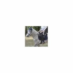 Ensemble*Harcour Online