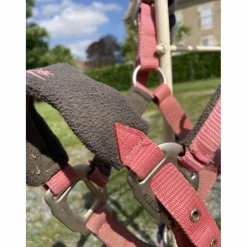 Ensemble licol+longe équithème poney*Equitheme Sale