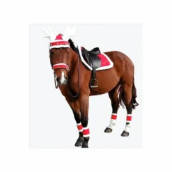 - Marque inconnue - Bonnets>Ensemble noël