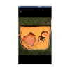 Equitheme Ensemble Tapis + Bonnet>ENSEMBLE ORANGE