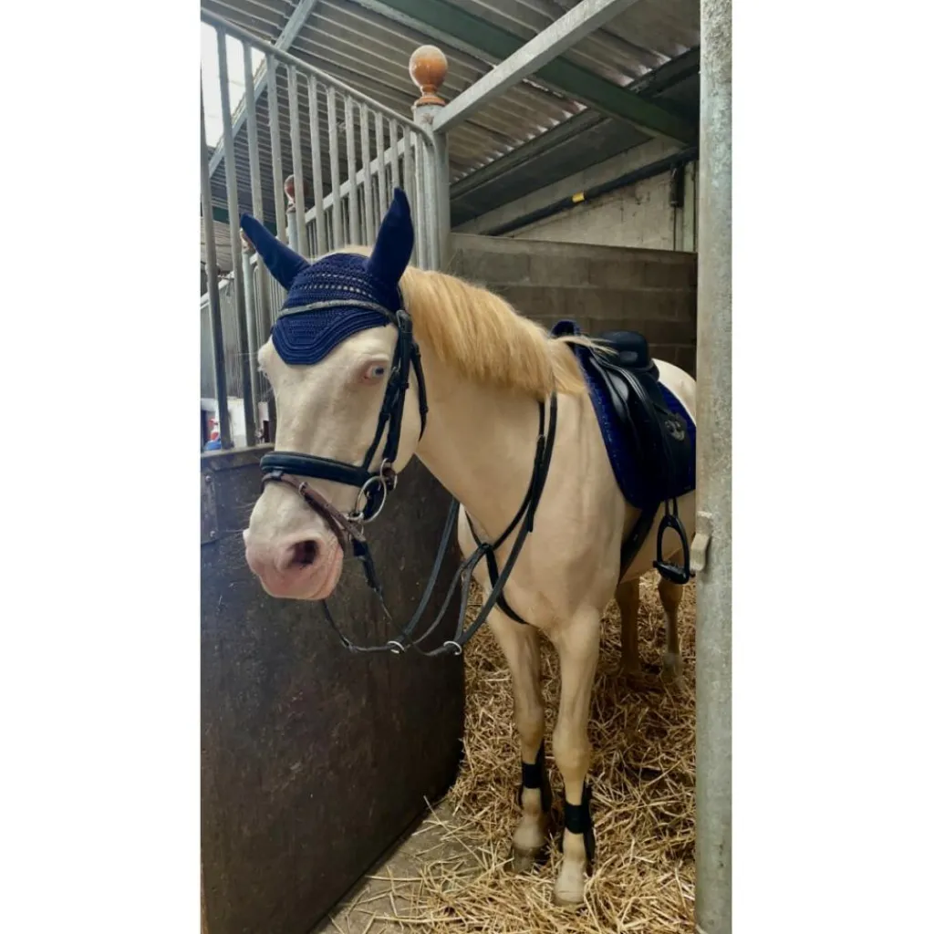 Paddock Sport Ensemble Tapis + Bonnet>Ensemble