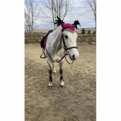 Equitheme Ensemble Tapis + Bonnet>ensemble rose equithème