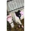 Ensemble rose pale*Penelope Leprevost Best