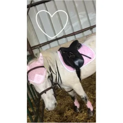 Ensemble rose pale*Penelope Leprevost Best