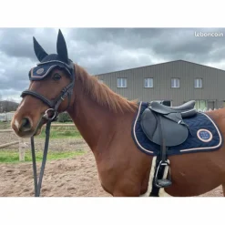 Ensemble tapis + bonnet*Equitheme Best