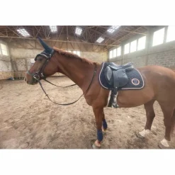 Ensemble tapis + bonnet*Equitheme Best