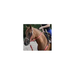 - Marque inconnue - Colliers De Chasse>Ensemble western