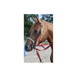 - Marque inconnue - Colliers De Chasse>Ensemble western