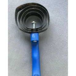 Fouganza Brosses>Etrille américaine